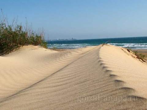 дюны на пляже.jpg